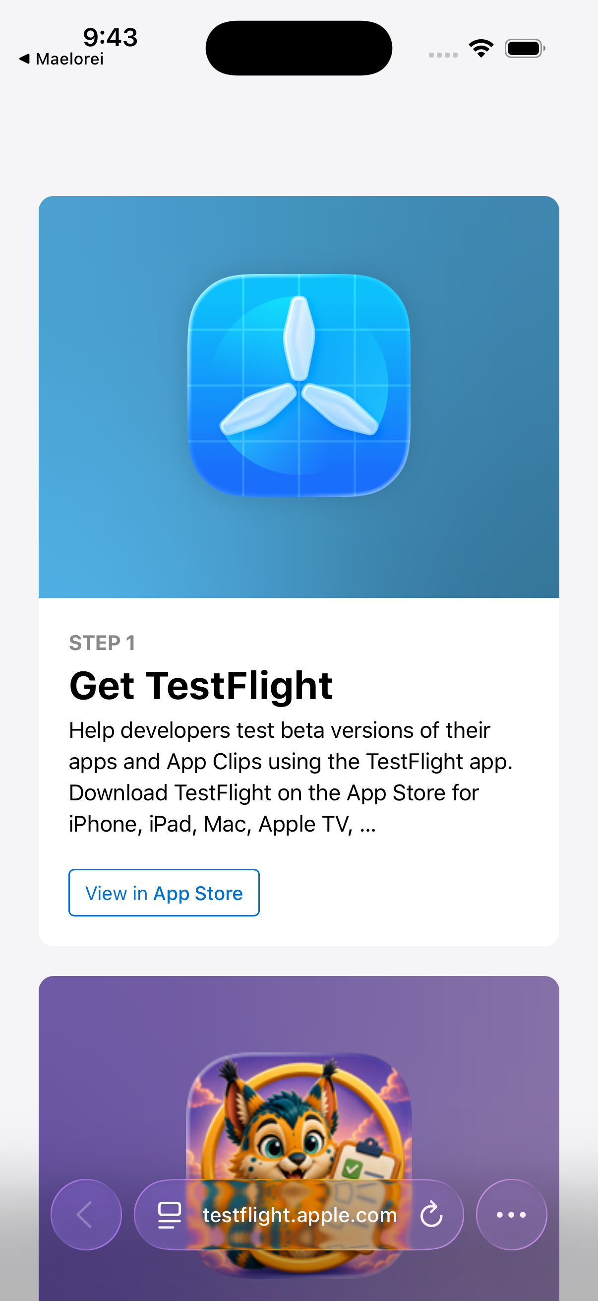 Apple TestFlight page showing the Get TestFlight step and View in App Store button.